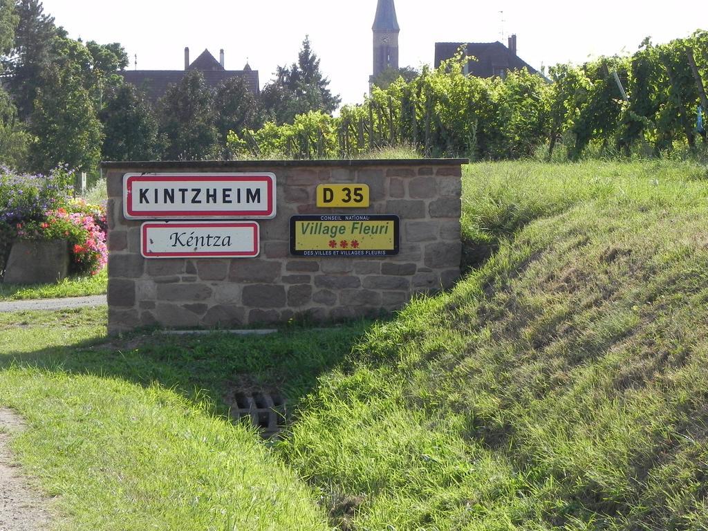Le Nid De Cigognes Kintzheim Villa Szoba fotó