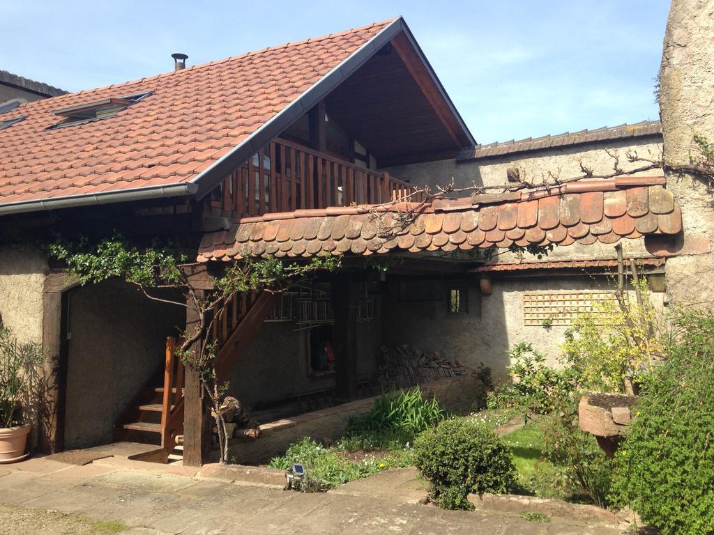 Le Nid De Cigognes Kintzheim Villa Szoba fotó